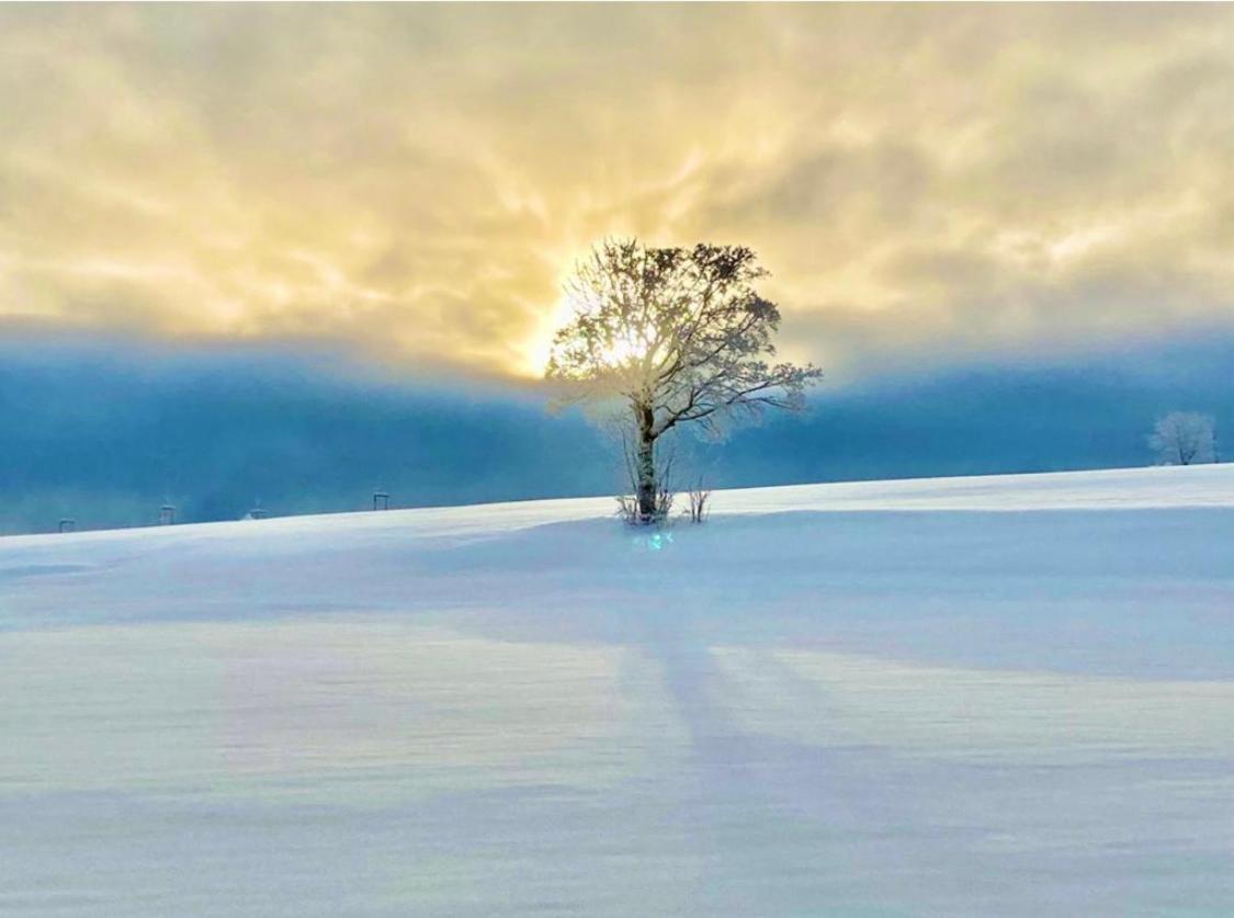 Landhotel Flora & Fauna (Adults Only) Winterberg Esterno foto