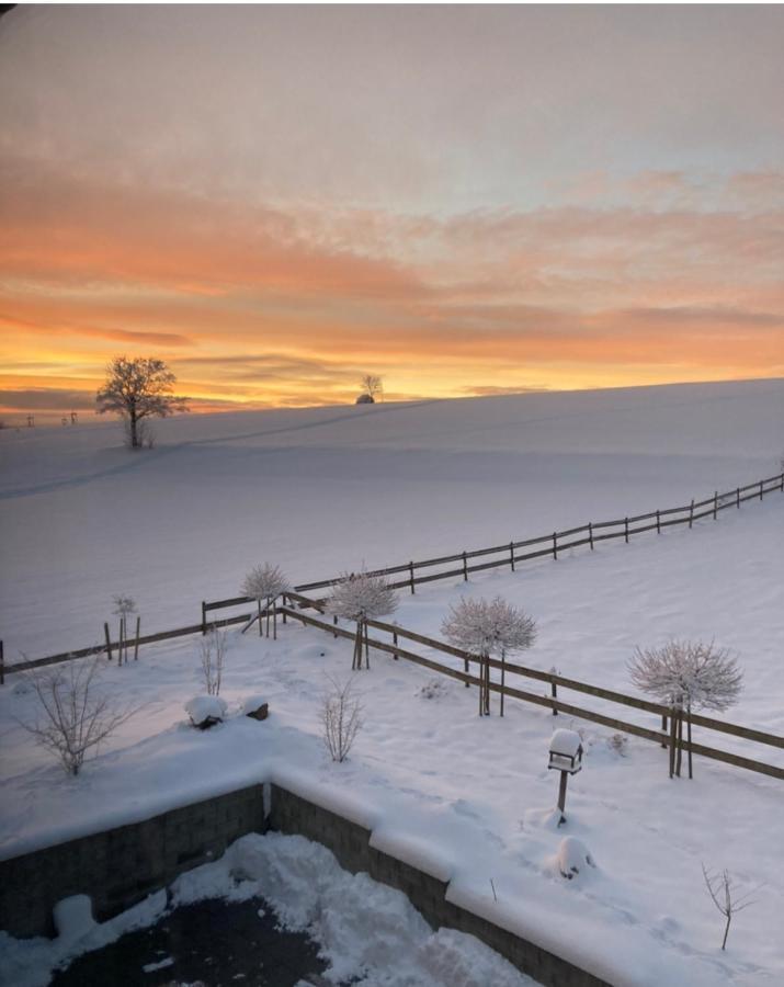 Landhotel Flora & Fauna (Adults Only) Winterberg Esterno foto