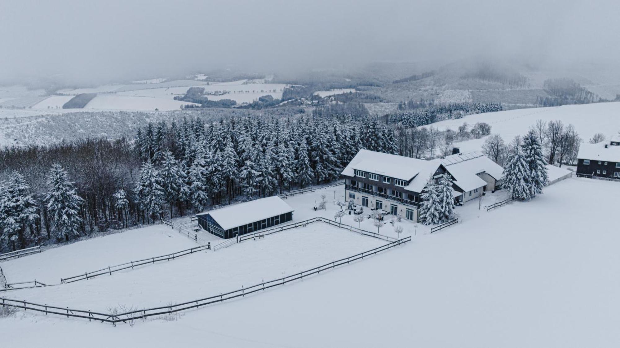 Landhotel Flora & Fauna (Adults Only) Winterberg Esterno foto