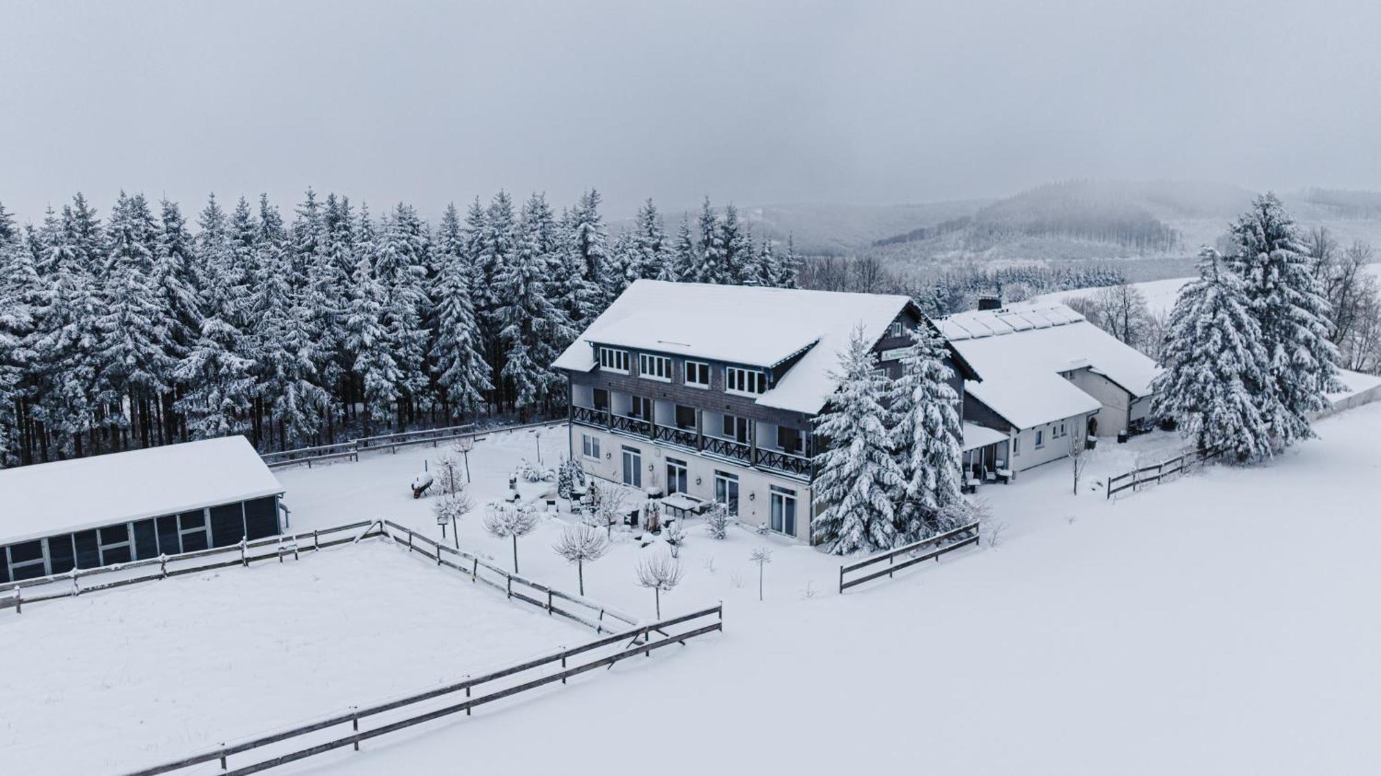 Landhotel Flora & Fauna (Adults Only) Winterberg Esterno foto