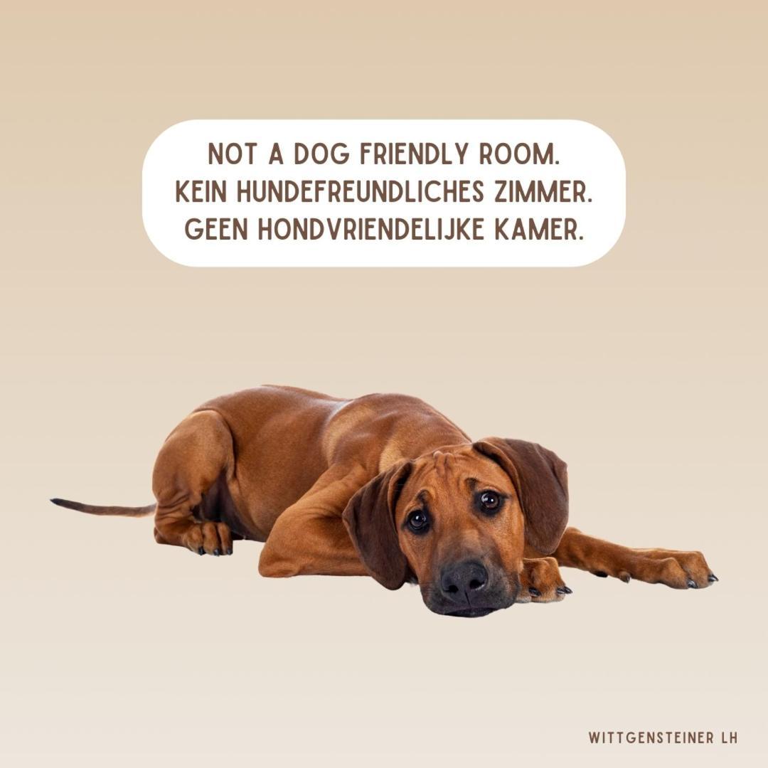 Landhotel Flora & Fauna (Adults Only) Winterberg Camera foto